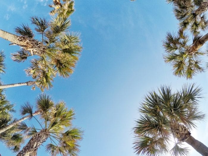 Jacksonville Girls' Getaway Itinerary Jacksonville Traveler