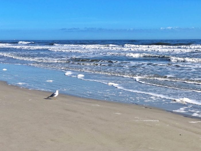 guide-to-best-beaches-in-jacksonville-fl-jacksonville-traveler